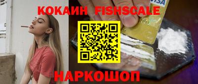 индика Донецк