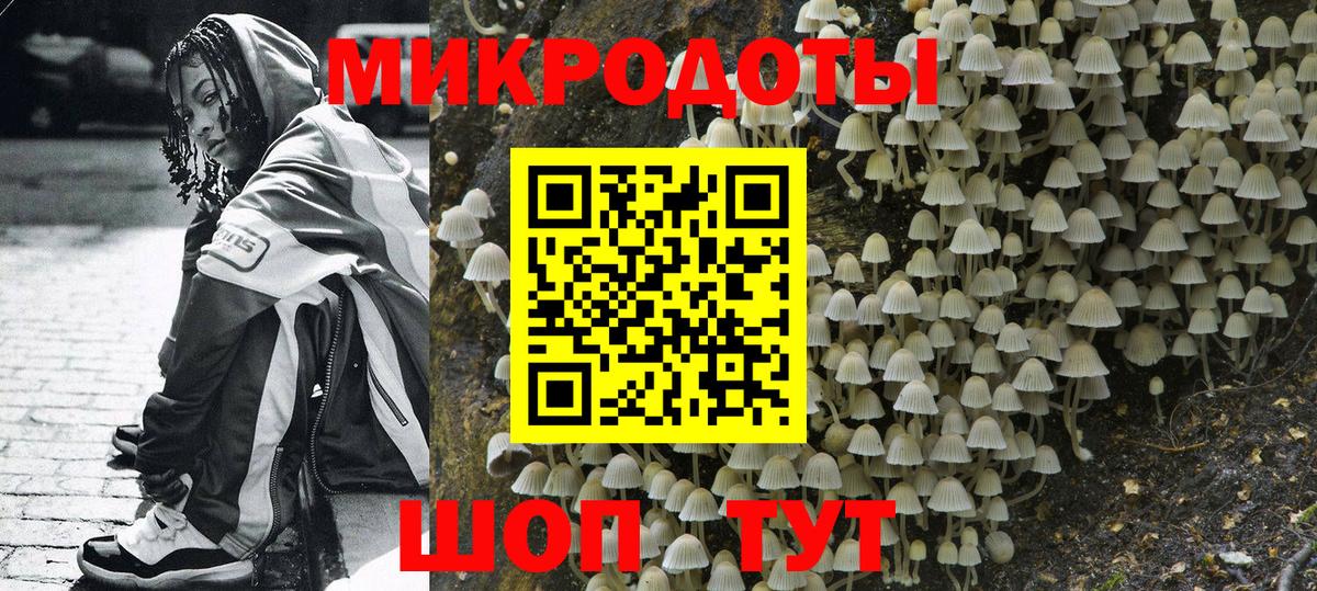 Галлюциногенные грибы MAGIC MUSHROOMS  Вход с VPN  Междуреченск 